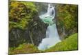 Photographic Print