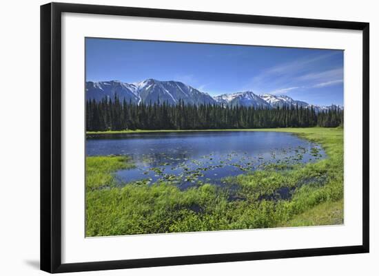 Photographic Print, , large