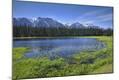 Photographic Print