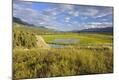 Premium Photographic Print