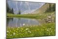 Photographic Print