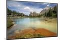 Premium Photographic Print