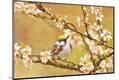 Premium Photographic Print
