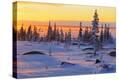 Stretched Canvas Print