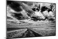 Photographic Print