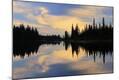 Photographic Print