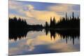 Photographic Print