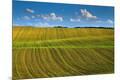 Premium Photographic Print
