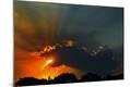 Premium Photographic Print