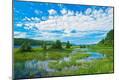 Photographic Print