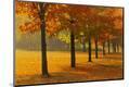 Photographic Print