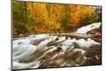 Photographic Print