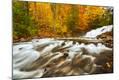 Photographic Print