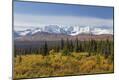 Premium Photographic Print