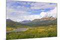 Photographic Print