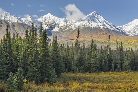 Premium Photographic Print, , large