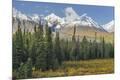 Premium Photographic Print