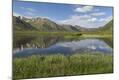 Photographic Print