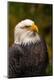 Premium Photographic Print