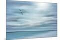 Premium Photographic Print