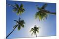 Premium Photographic Print