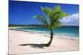 Premium Photographic Print