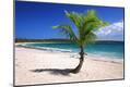 Premium Photographic Print