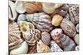 Premium Photographic Print