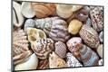 Premium Photographic Print