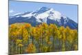 Photographic Print