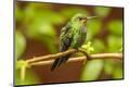 Premium Photographic Print