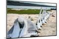 Premium Photographic Print