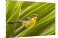 Premium Photographic Print