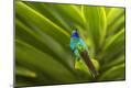 Premium Photographic Print
