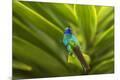 Premium Photographic Print