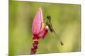 Premium Photographic Print