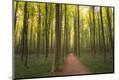 Photographic Print