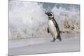 Premium Photographic Print