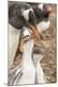 Premium Photographic Print