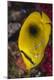Premium Photographic Print
