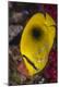Premium Photographic Print