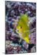 Premium Photographic Print