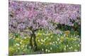 Premium Photographic Print