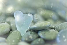 Heart-Shaped Beach Glass and Wet Rocks, Seabeck, Washington, USA-Jaynes Gallery-Photographic Print