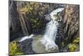 Photographic Print
