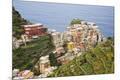 Premium Photographic Print
