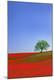 Premium Photographic Print