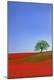 Premium Photographic Print
