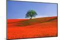 Premium Photographic Print
