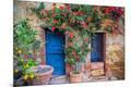 Photographic Print